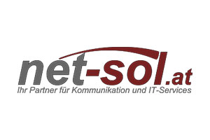 Net-Sol logo