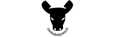 centralinitorino.it by Draw Studio snc logo
