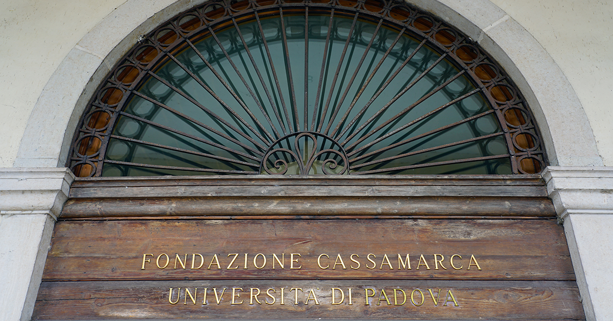 Fondazione Cassamarca - Wildix case study
