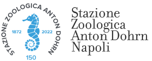 Stazione Zoologica Anton Dohrn - logo