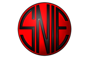 SNIE logo
