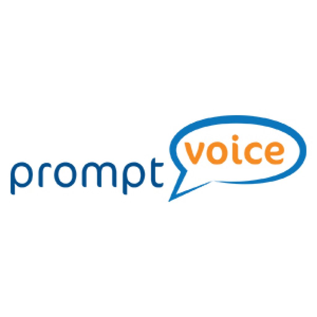 PromptVoice logo